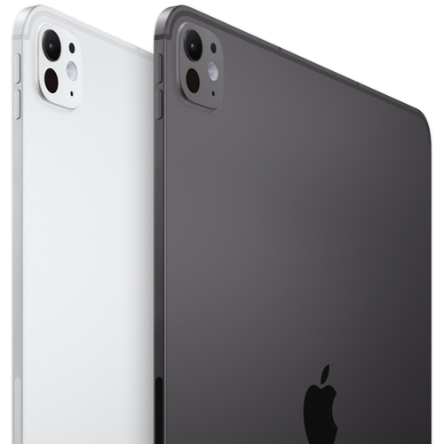 Планшет Apple iPad Pro 11 M4 (2024) 2Tb Wi-Fi + Cellular Silver (Серебристый) - GorbTech