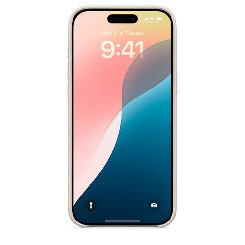 Поликарбонатовый чехол Beats iPhone 16 Pro Max Case with MagSafe – Summit Stone - GorbTech
